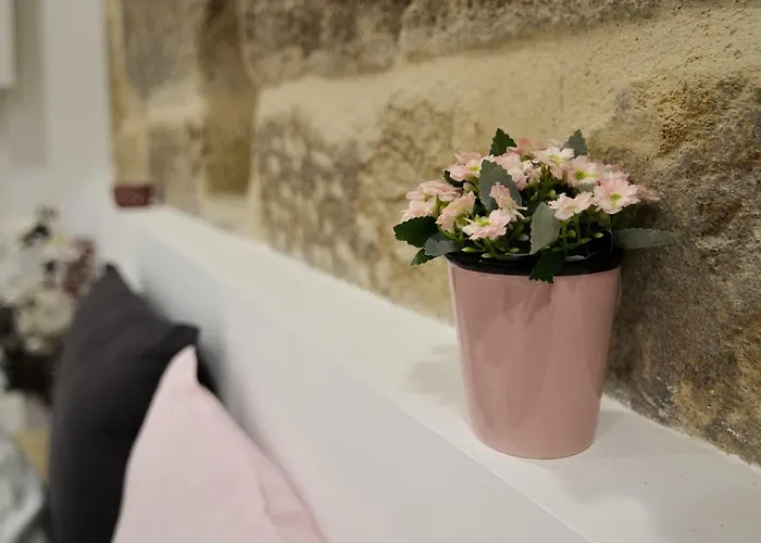 Verdura Archsense ポンテベドラ